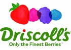driscolls logo berry stack